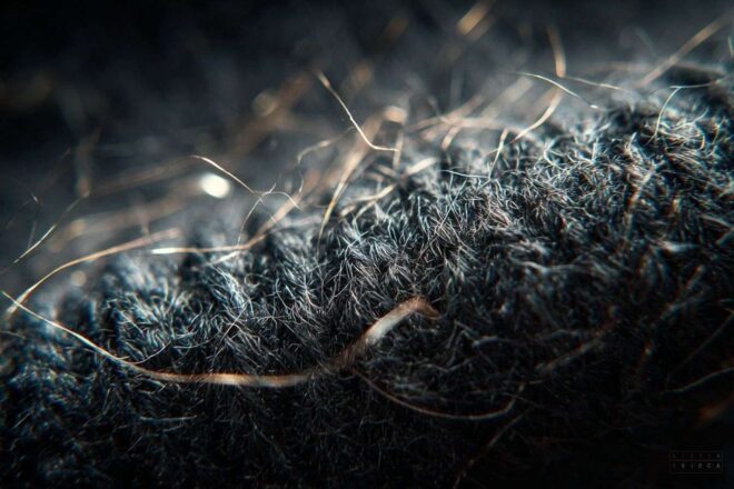 Macro du pull noir avec poils de chat