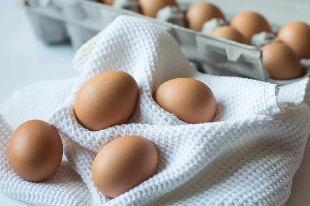 comment bien conserver ses oeufs