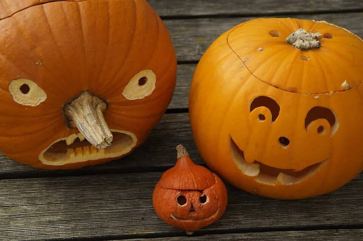 comment fabriquer sa citrouille d'halloween?