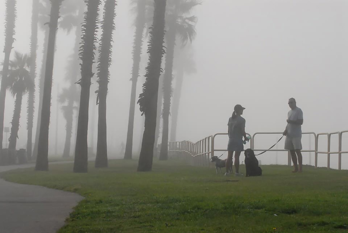 Un couple en promenade.