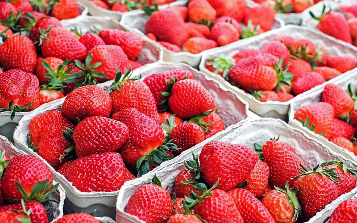 Fraises