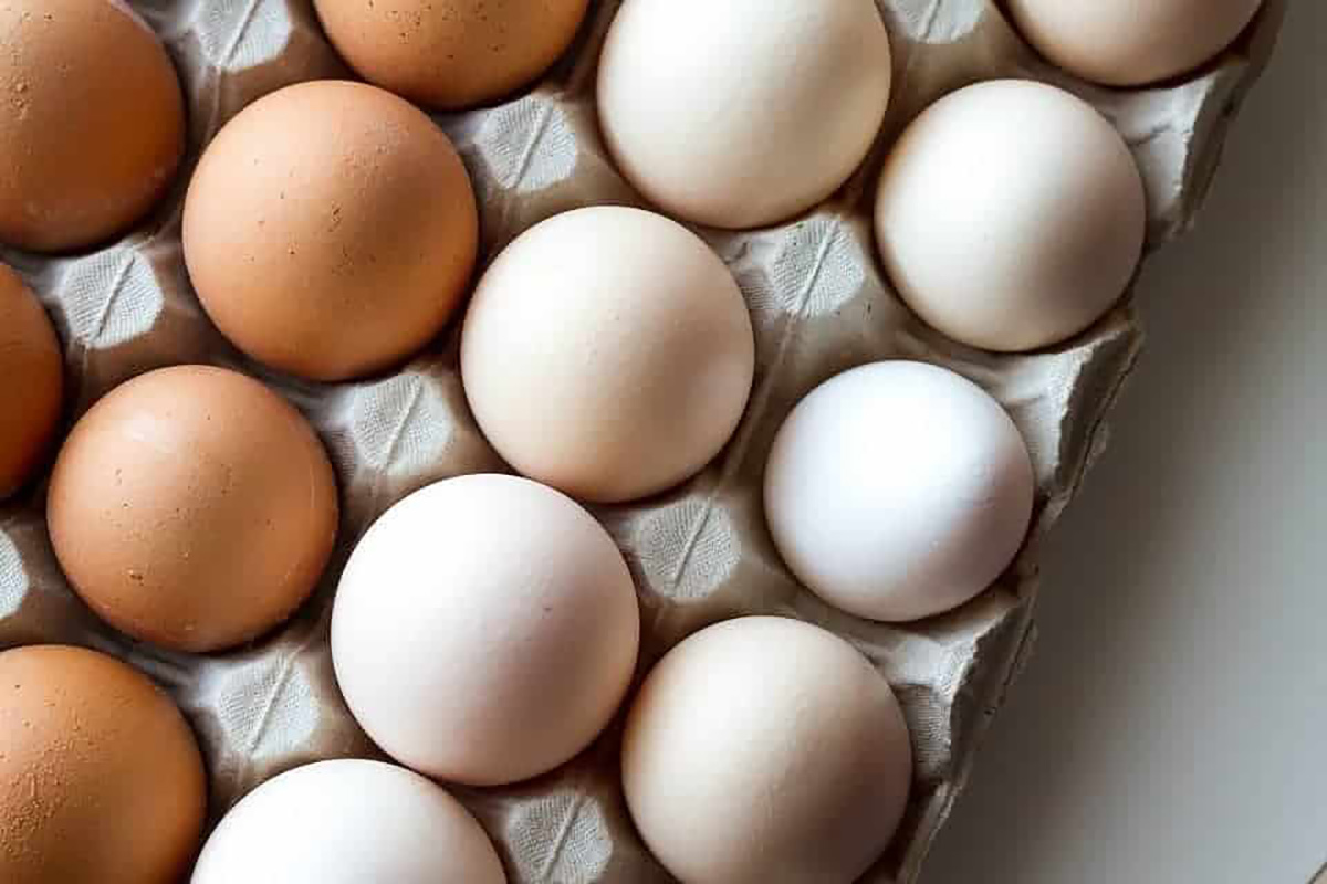 Des oeufs