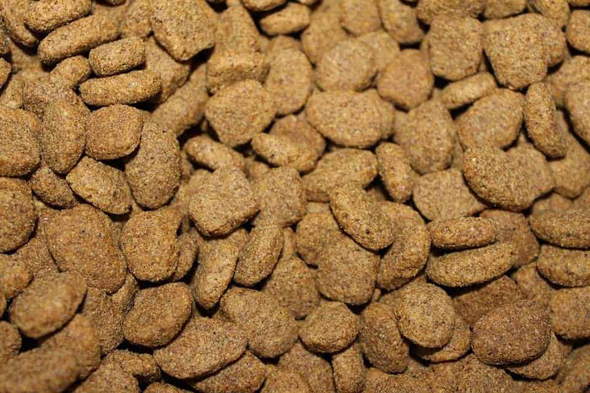 Croquettes