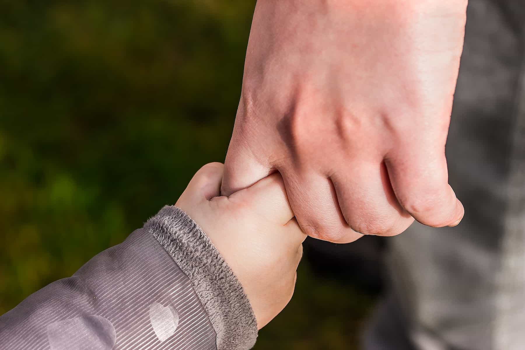 Main d'adulte, main d'enfant.