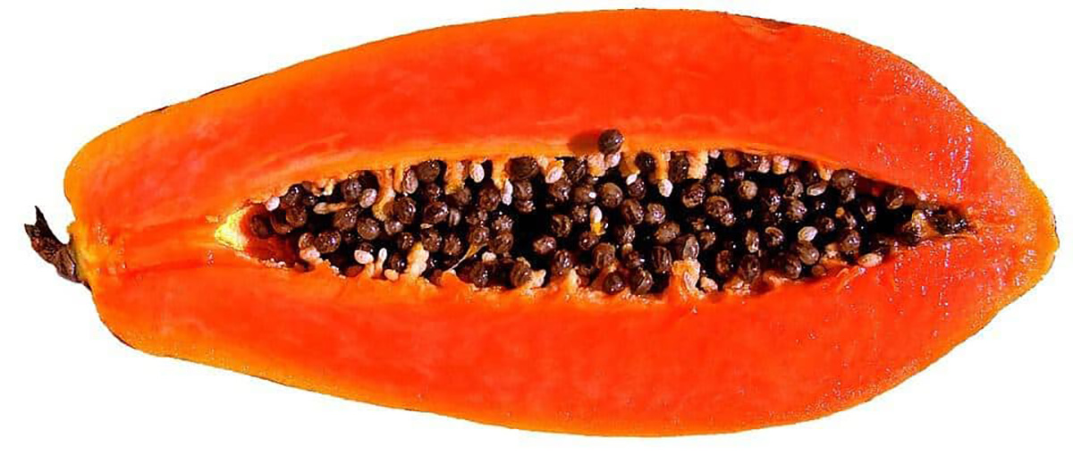 Papaye