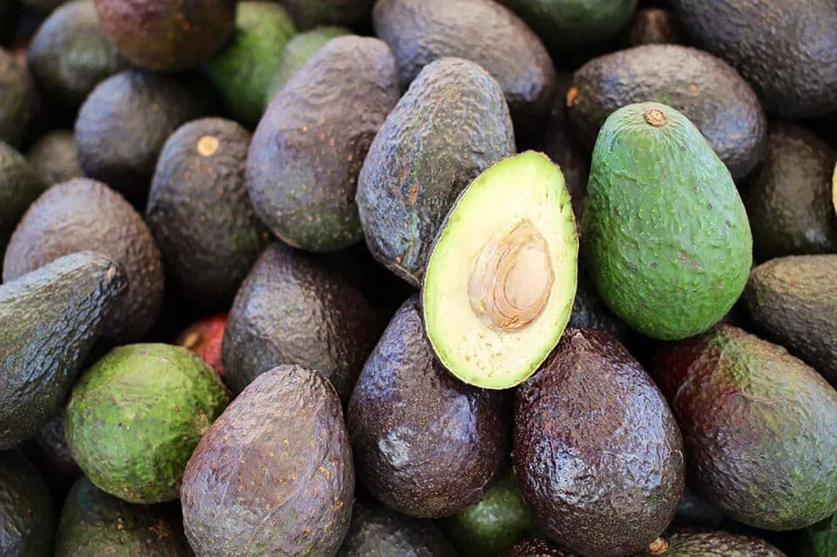 Avocats