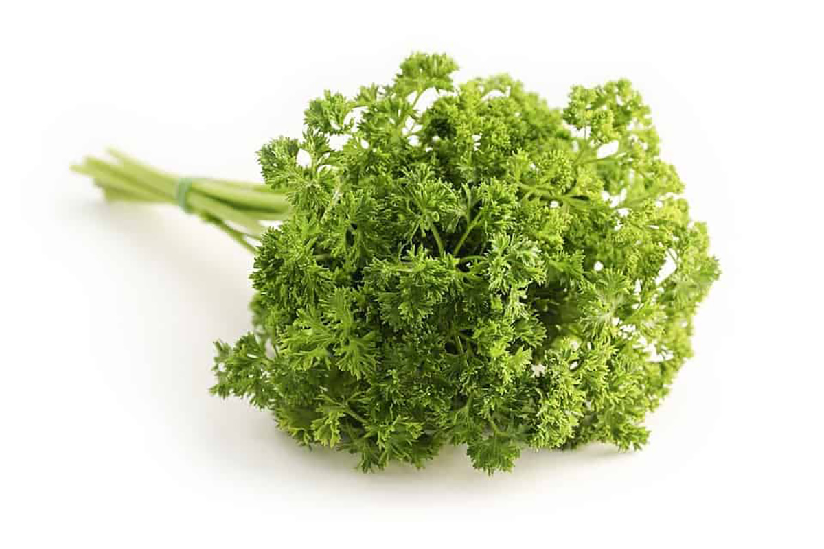 Bouquet de persil