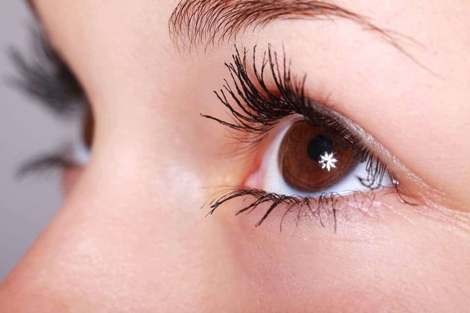 Oeil