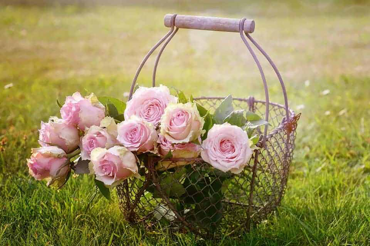 Panier, rose