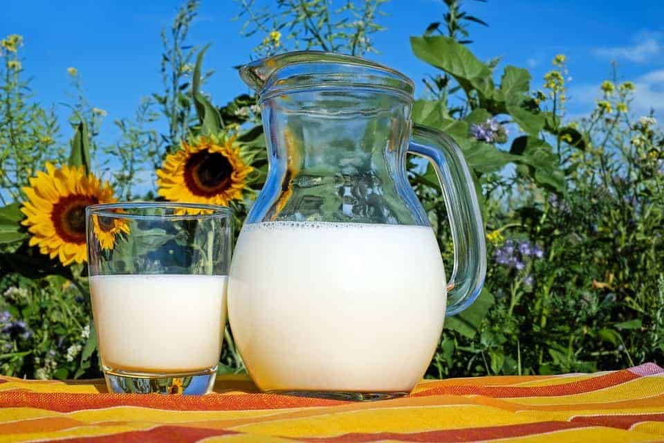 Lait