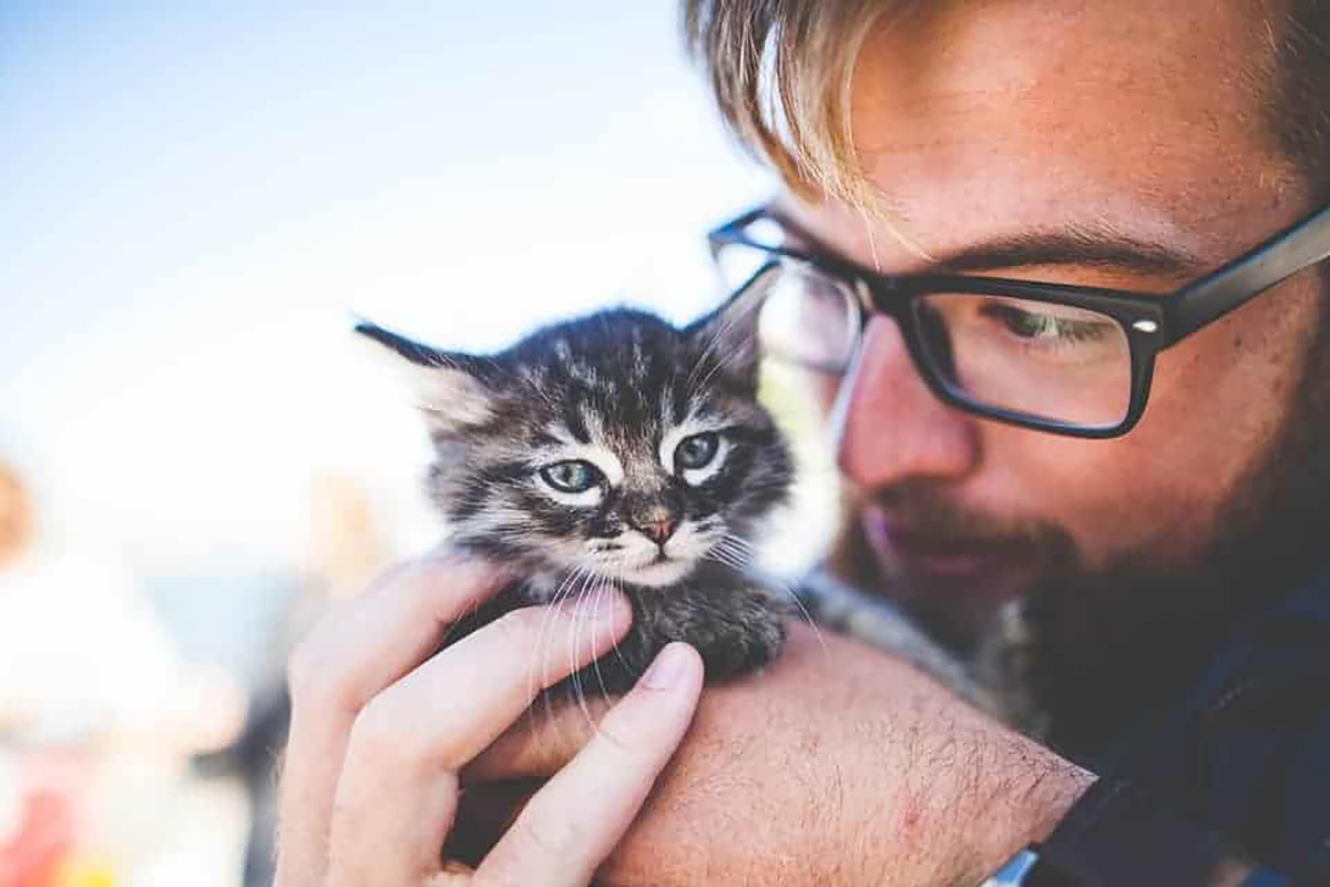 Chaton