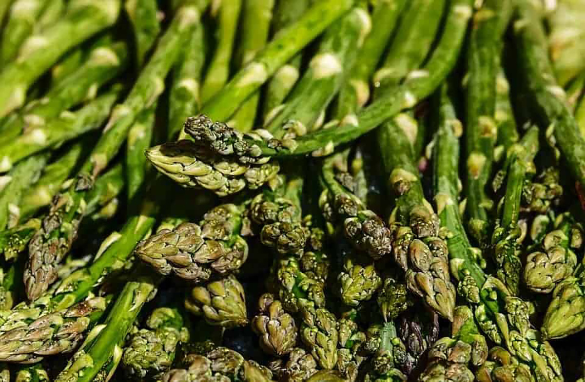 Asperges
