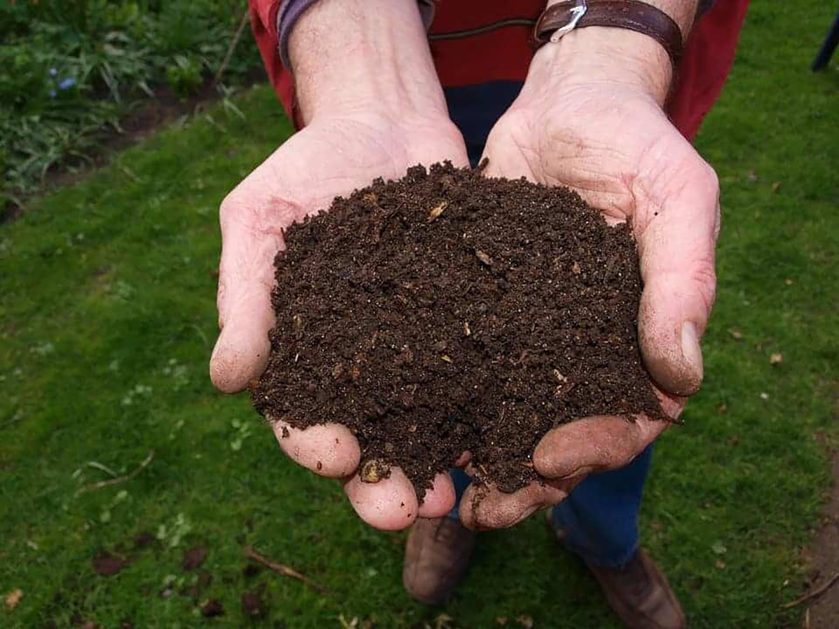 Compost, main