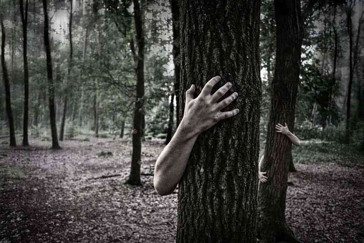 Arbres, mains