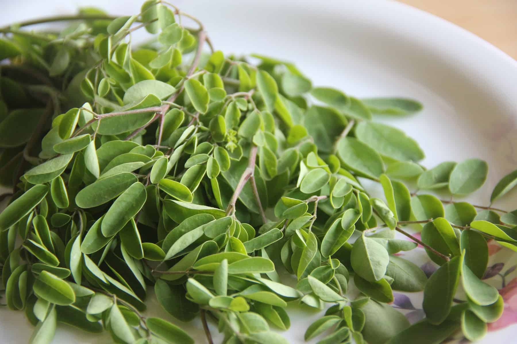 Moringa.