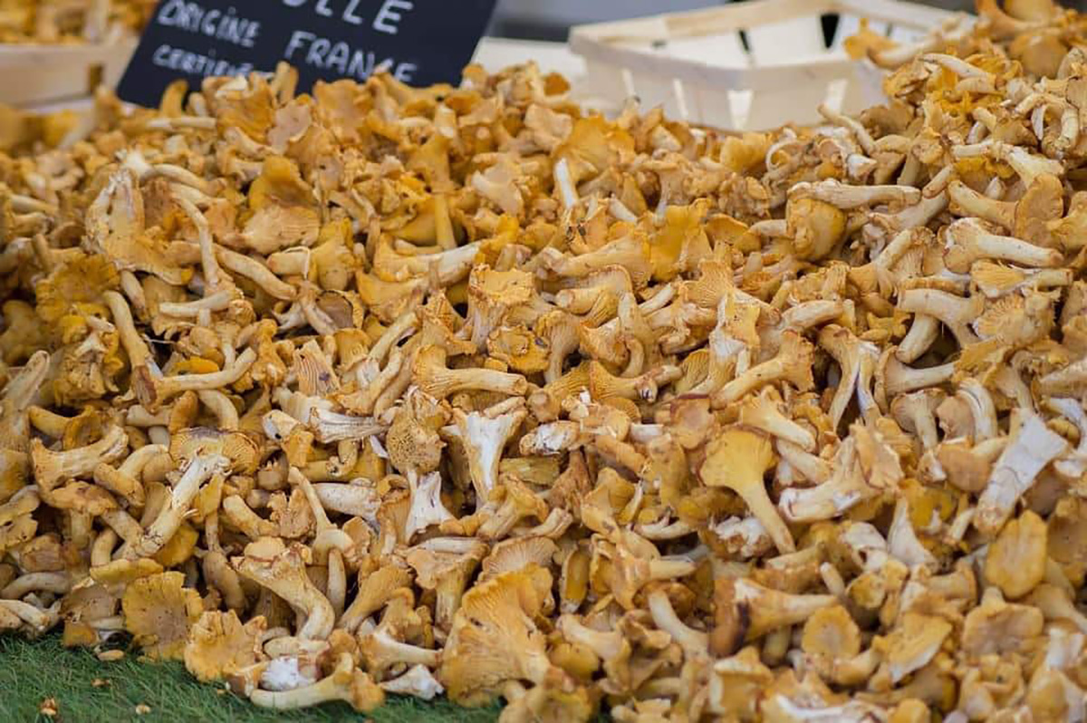 Girolle