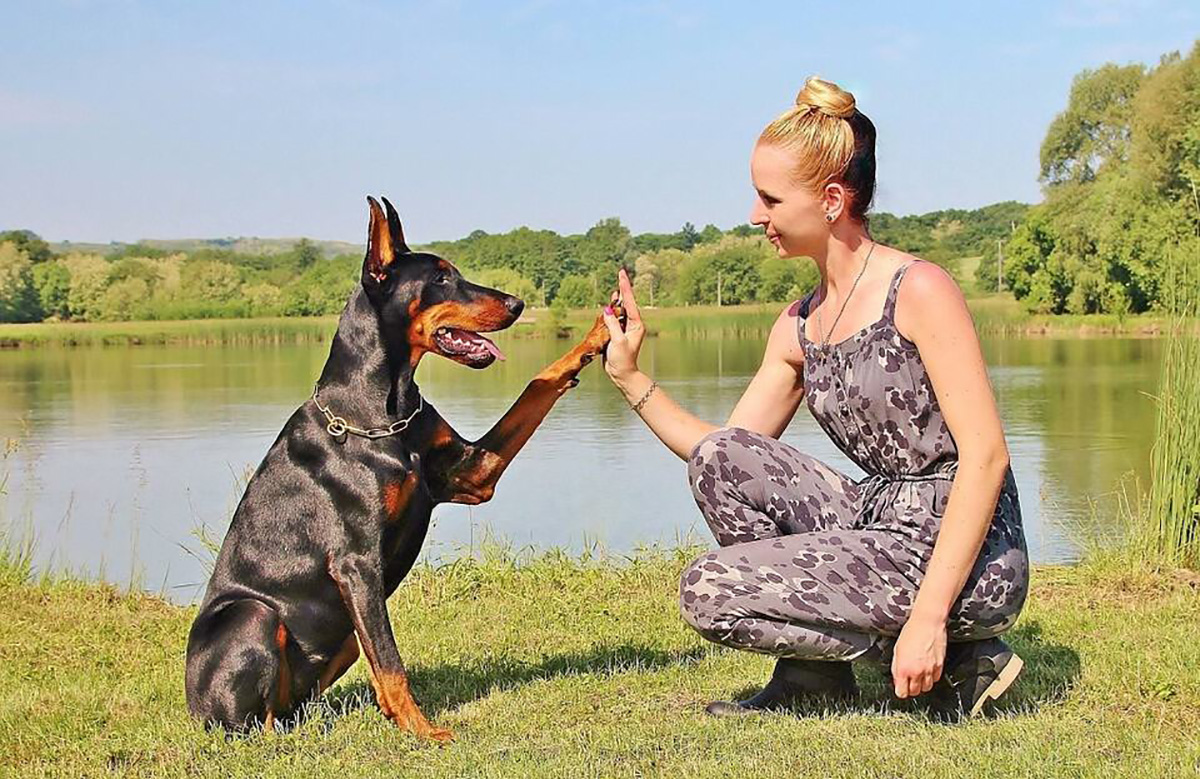 Femme; Pinscher