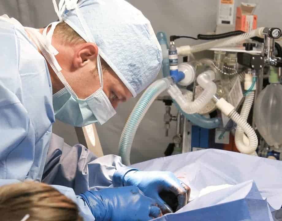 Vétérinaire, chirurgie