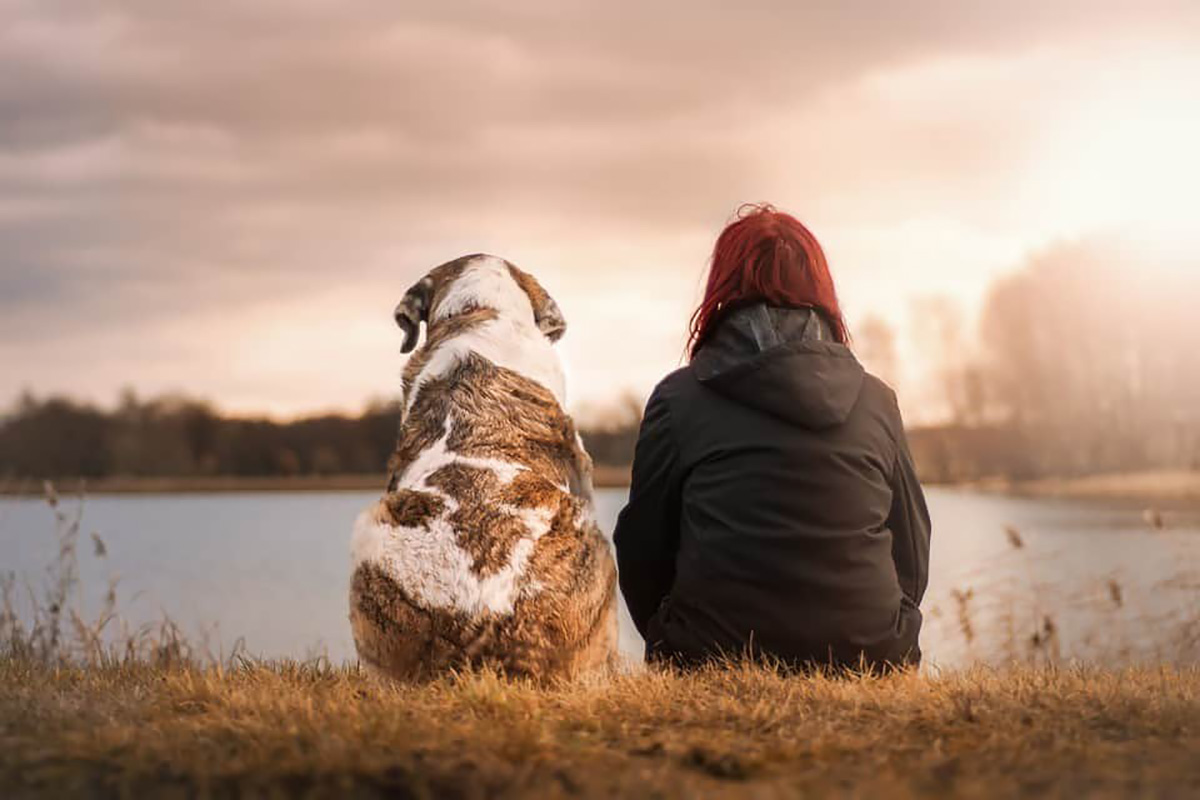 chien, femme