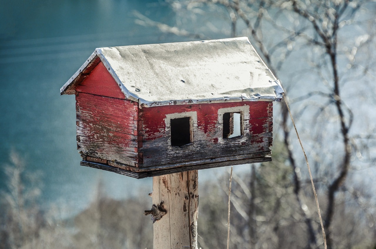 Photo d'illustration. Un nichoir à oiseaux.