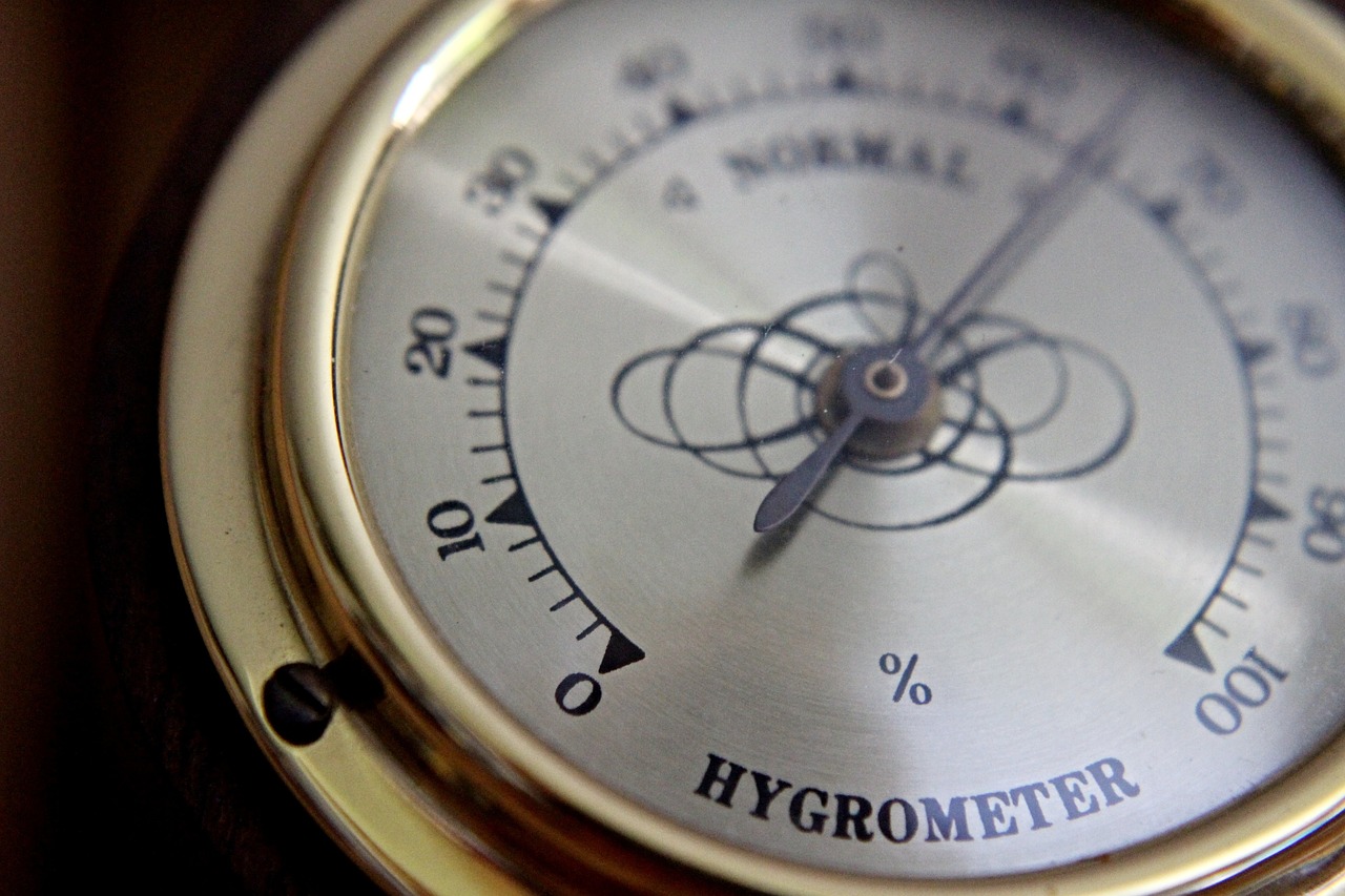 Photo d'illustration. Un hygromètre.
