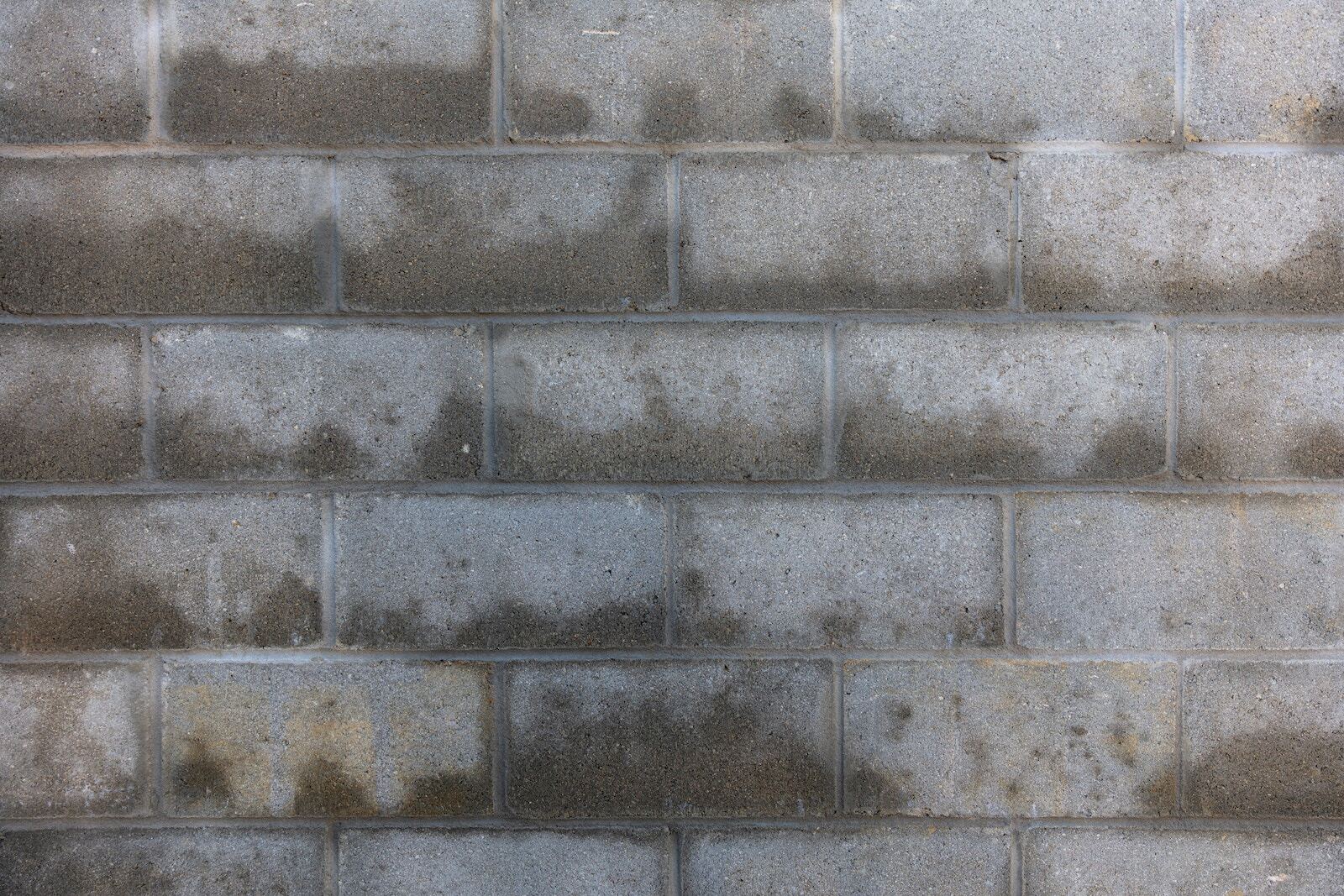 Photo d'illustration. Un mur humide.