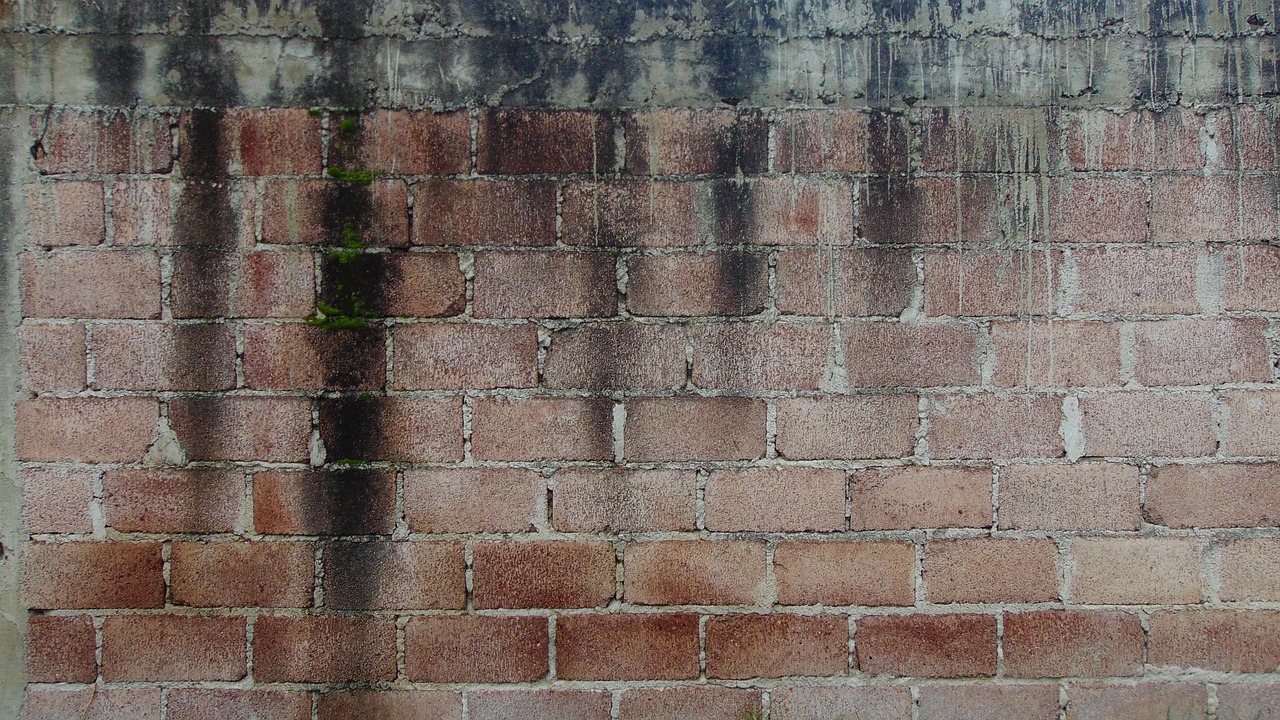 Photo d'illustration. Un mur humide.