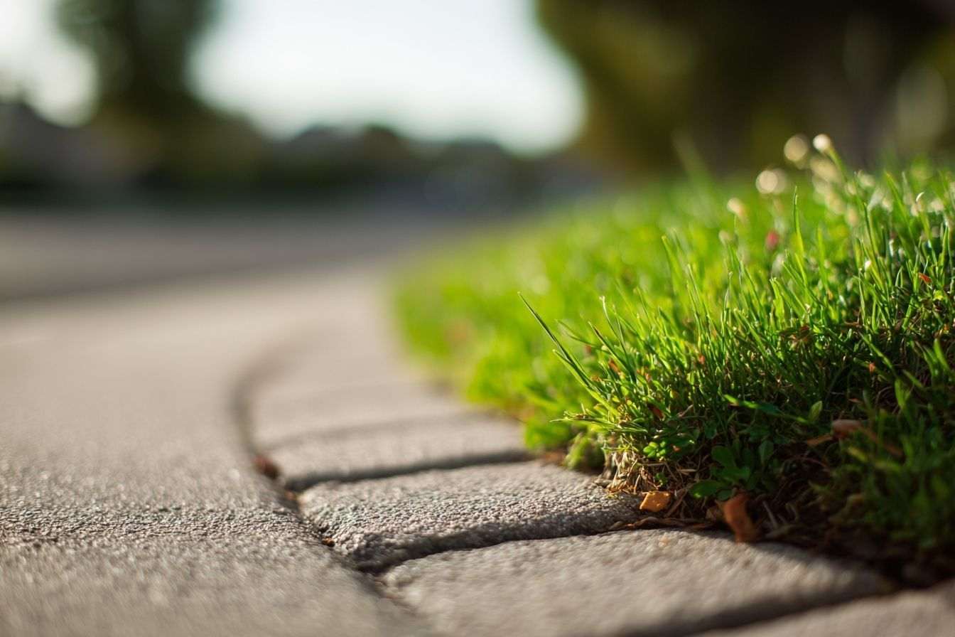 Bordure d allée pavée avec herbe