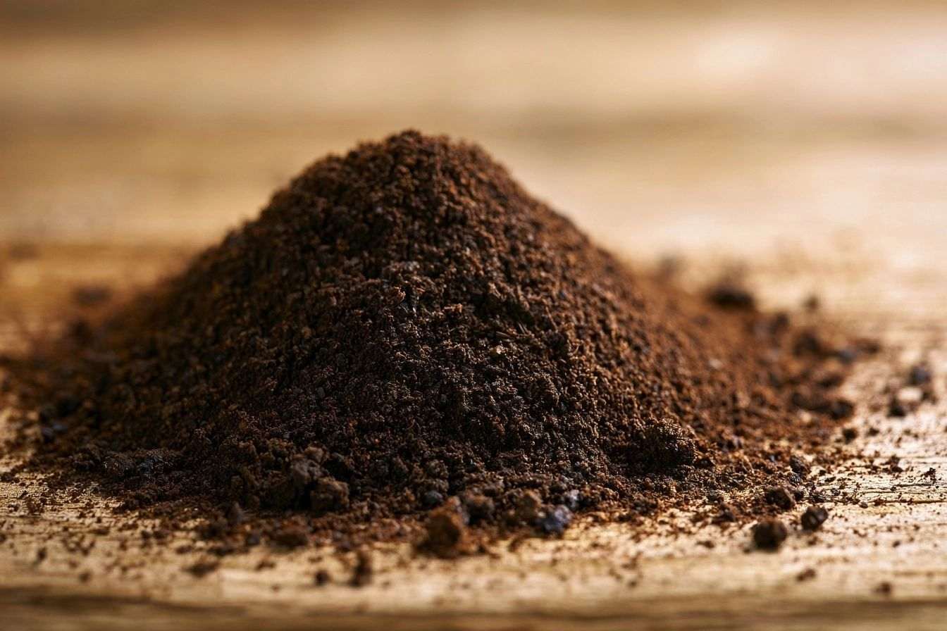 Gros plan sur du marc de café fraîchement moulu